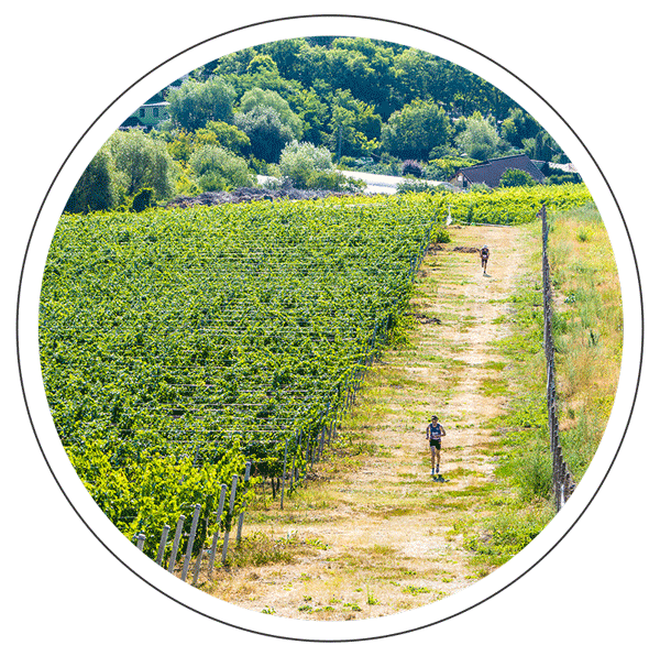 Alergare pe potecă la Festivalul Sporturilor Iași